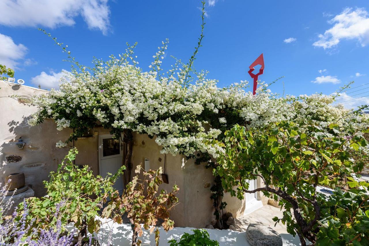 The Olive Mill Guest House Lefkes  외부 사진